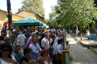 Clicca sulla foto per vedere ingrandimento